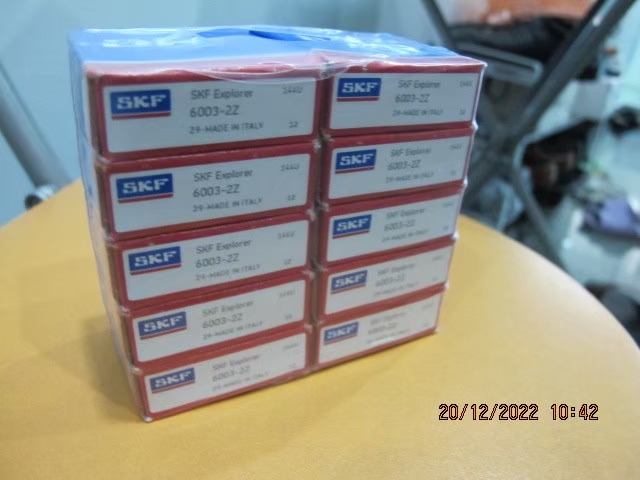 SKF Photo 16